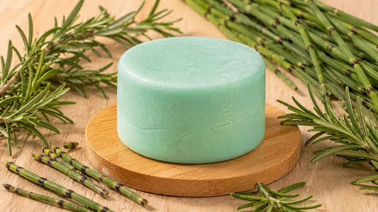 LAGARTERO - Shampoo Todo Tipo de Cabello Crecimiento y Fortalecimiento